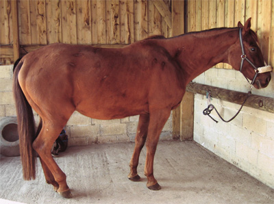 largo