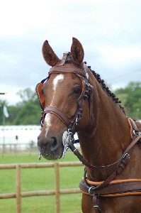 largo