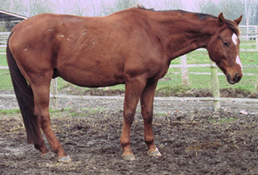 largo