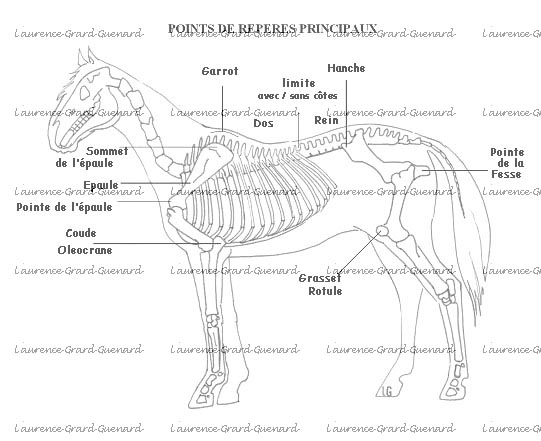 cheval