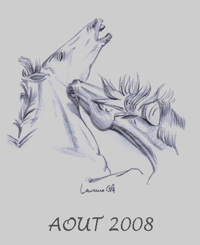 aout 2008