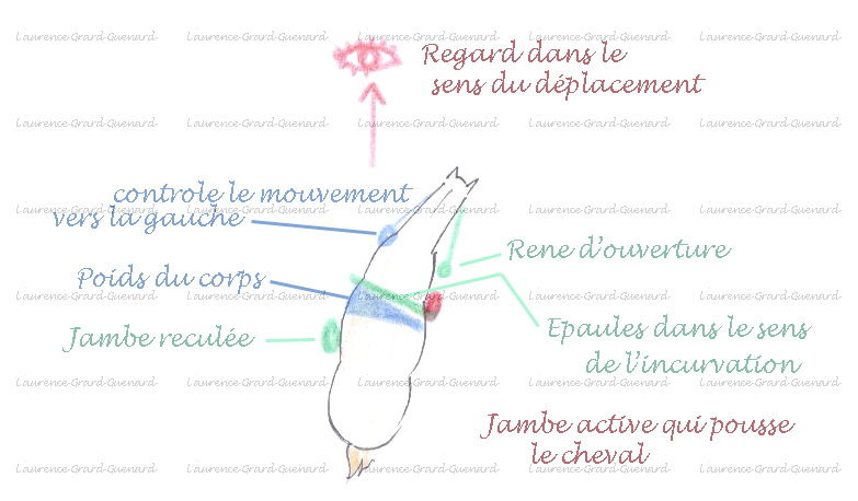 épaule en dedans