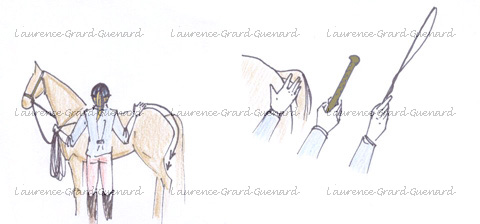 longue r&ecirc;ne