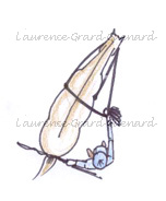 longue r&ecirc;ne
