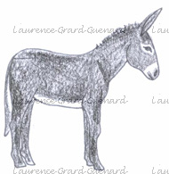pyrenées