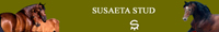 suaseta
