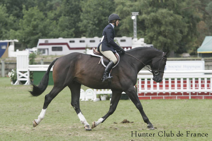 hunter