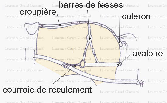 reculement