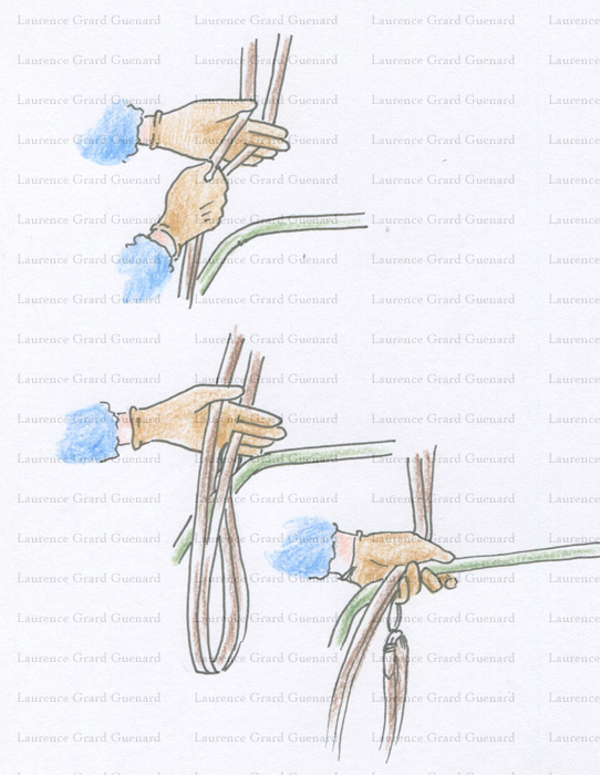 Galop 1