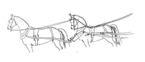 Tandem