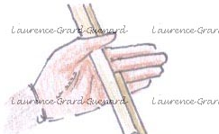 Galop 1